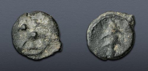 Lot 504 image