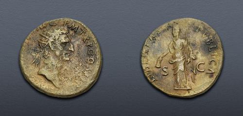 Lot 505 image