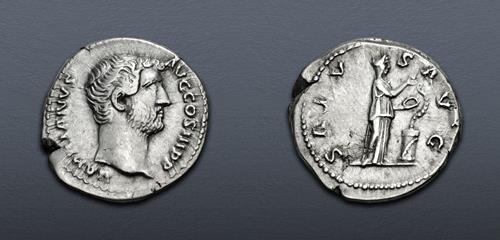 Lot 533 image