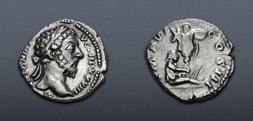 Lot 555 image
