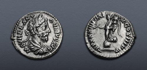 Lot 556 image