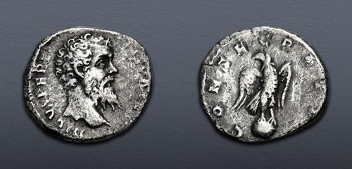 Lot 562 image
