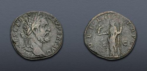 Lot 564 image