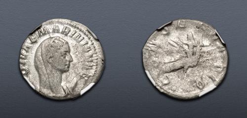 Lot 586 image