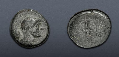 Lot 210 image