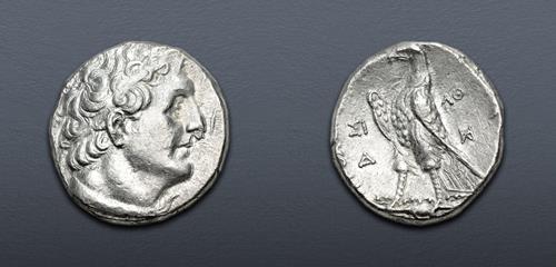 Lot 256 image