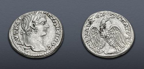 Lot 363 image