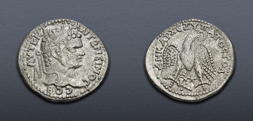 Lot 364 image