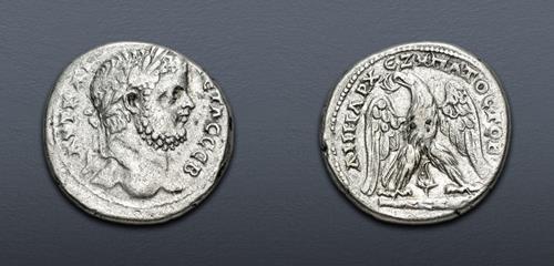 Lot 376 image
