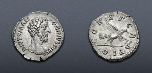 Lot 495 image