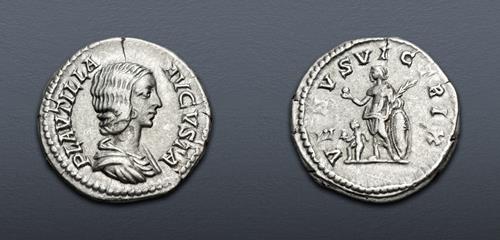 Lot 528 image