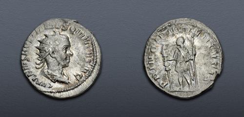 Lot 565 image