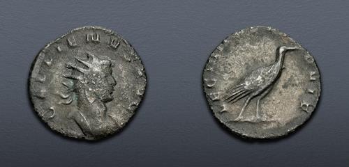 Lot 571 image