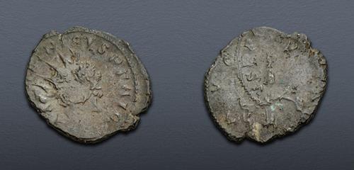Lot 586 image