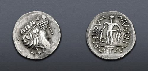 Lot 13 image
