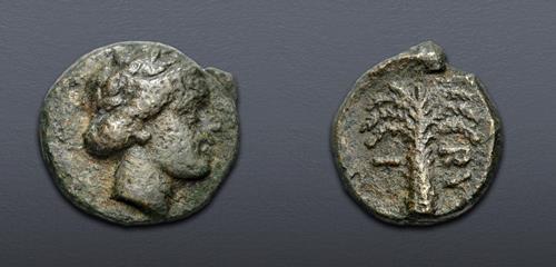 Lot 245 image