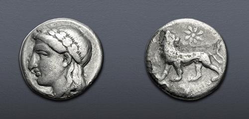 Lot 354 image