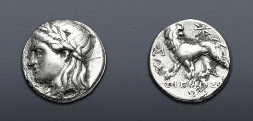Lot 357 image