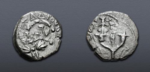 Lot 504 image