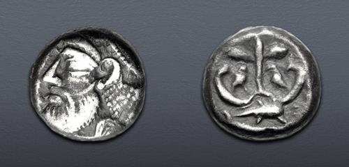 Lot 507 image