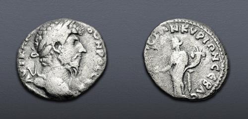 Lot 740 image