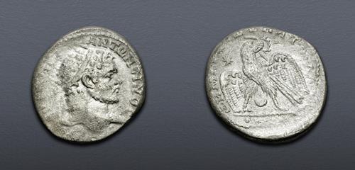 Lot 741 image