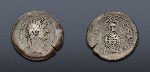 Lot 770 image