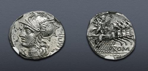 Lot 1010 image