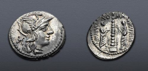 Lot 1011 image