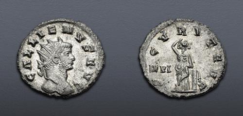 Lot 1141 image