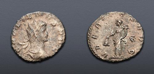 Lot 1142 image