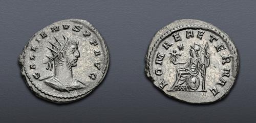 Lot 1143 image