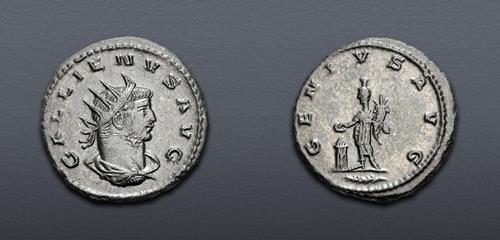 Lot 1144 image