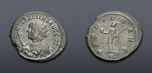 Lot 1156 image
