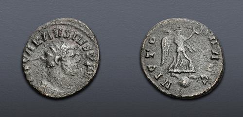 Lot 1166 image