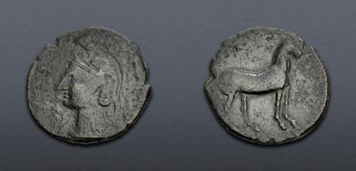Lot 14 image
