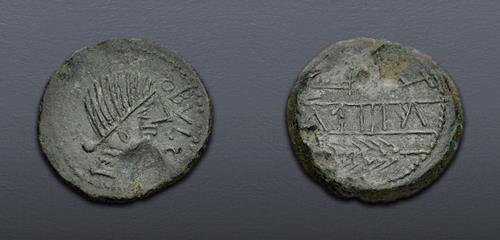 Lot 19 image