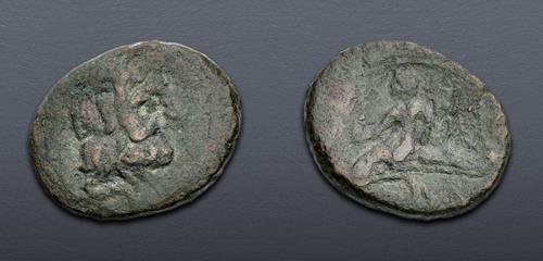 Lot 24 image