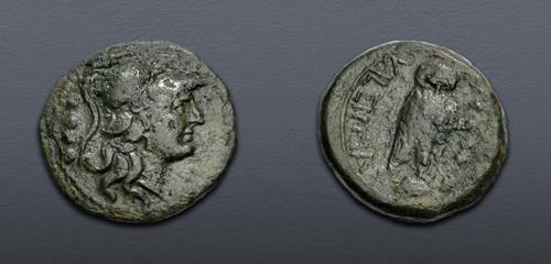 Lot 41 image