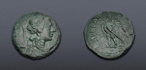 Lot 44 image