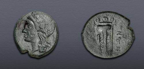 Lot 45 image
