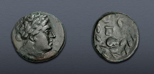 Lot 209 image