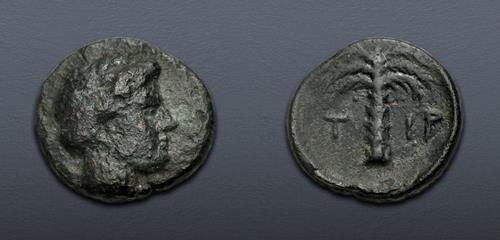 Lot 223 image