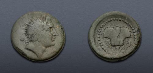Lot 325 image