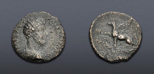 Lot 636 image