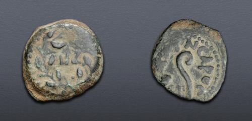 Lot 664 image