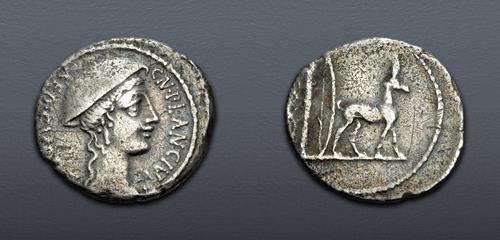 Lot 821 image