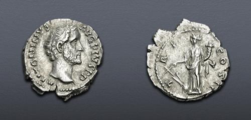 Lot 892 image