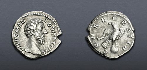 Lot 904 image