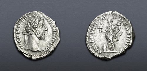 Lot 910 image